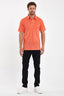 Polo Men - %100 Merinos Yünü Erkek Polo Üst