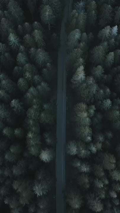 woolona-termaliclik-merniosyunu-dogavidesu
