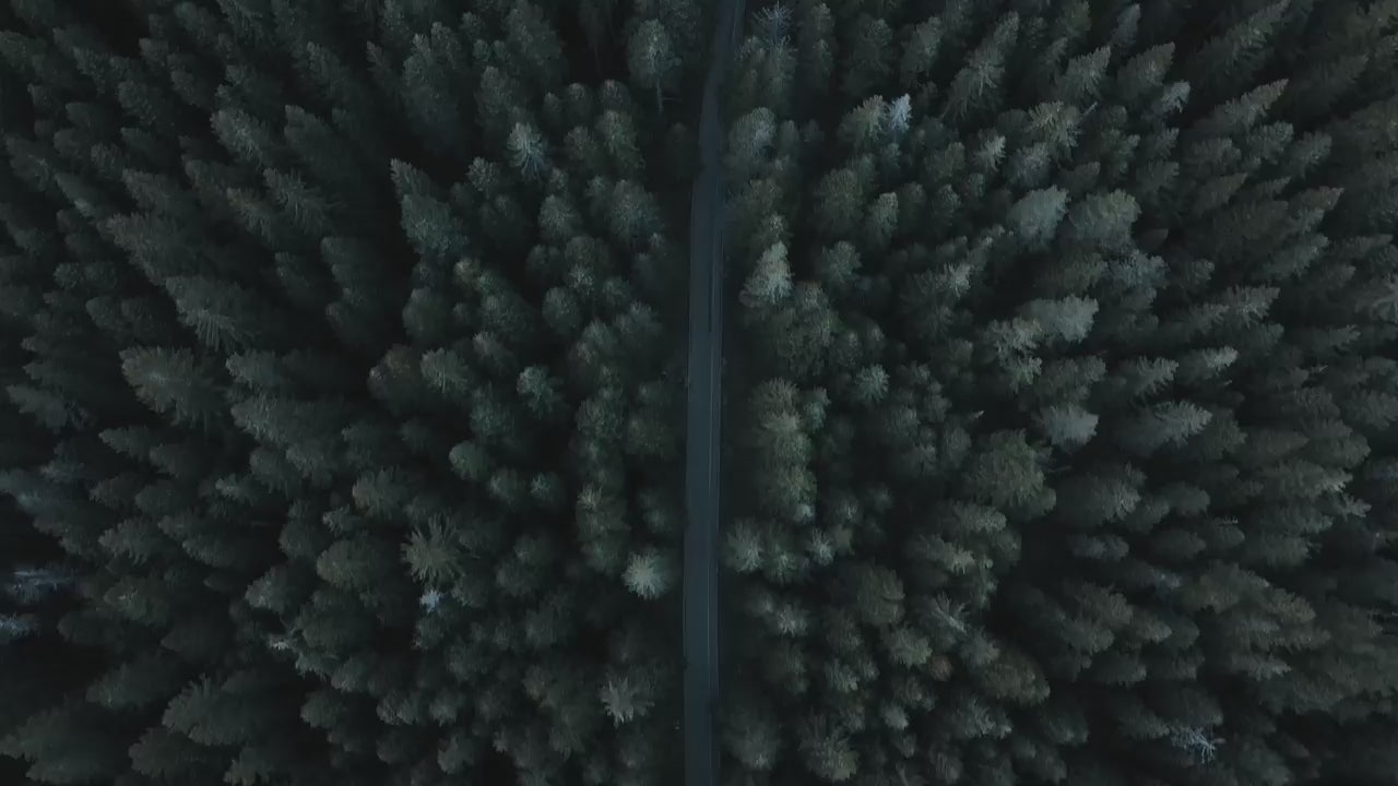 Woolona- Dogavideosu-termaliclik-merinosyunu